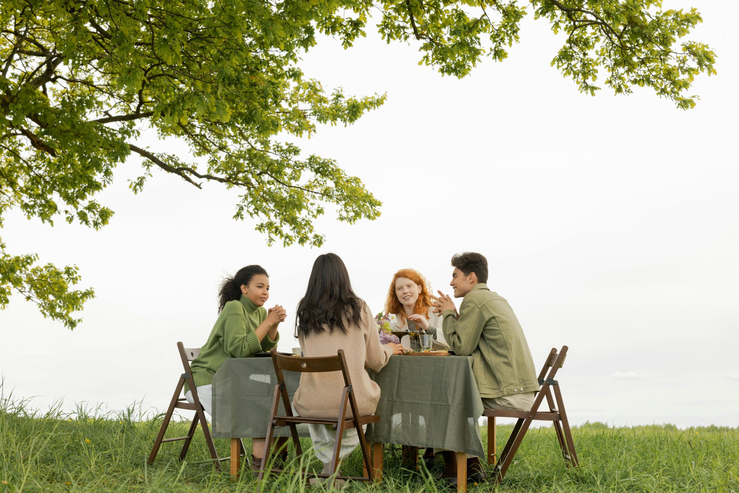 friends having picnic under a tree